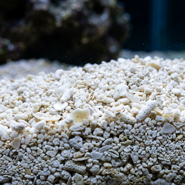 Coral sand